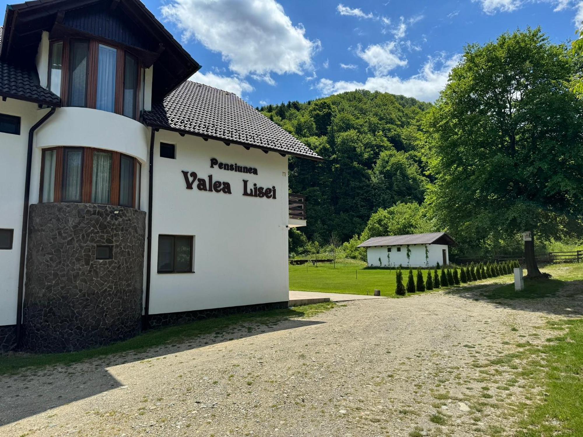 Pensiunea Valea Lisei Lisa 外观 照片